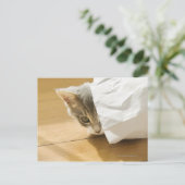Carte Postale Chaton caché dans un sac en papier (Debout devant)