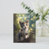 Carte Postale Chaton calico adorable est inquiet (Debout devant)
