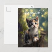 Carte Postale Chaton Calico Adorable Est Préoccupé (Devant / Derrière)