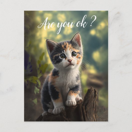 Carte Postale Chaton Calico Adorable Est Préoccupé (Devant)