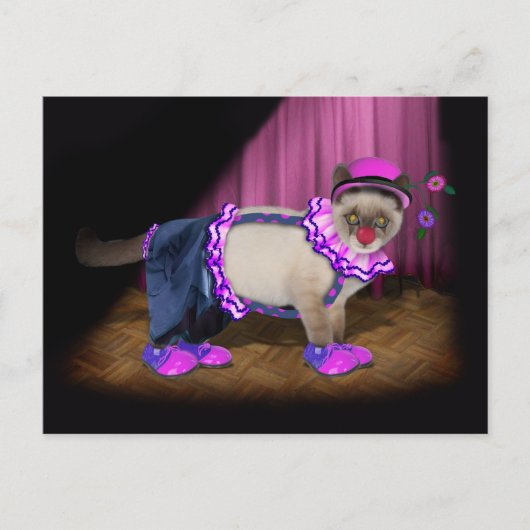 Carte Postale Chaton Clown Mignon (Devant)