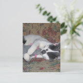 Carte Postale Chaton couchant (Debout devant)