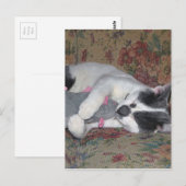 Carte Postale Chaton couchant (Devant / Derrière)