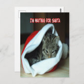 Carte Postale Chaton de Noël (Devant / Derrière)