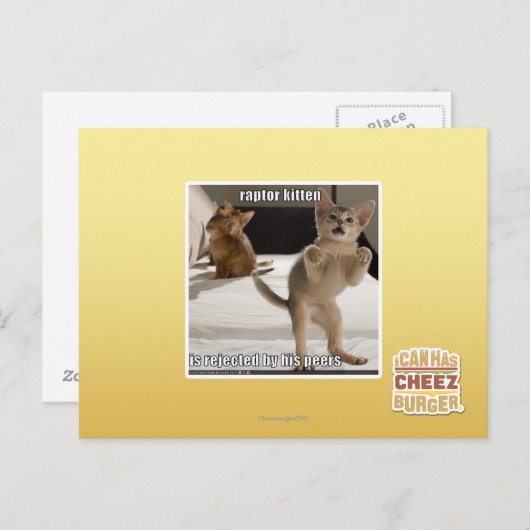 Carte Postale Chaton de Raptor (Devant / Derrière)