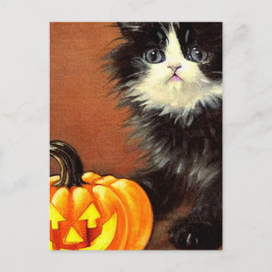 Carte Postale Chaton d'Halloween noir et blanc vintage