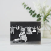 Carte Postale Chaton et linge vintage (Debout devant)