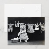Carte Postale Chaton et linge vintage (Devant / Derrière)