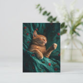 Carte Postale Chaton Gingembre Endormi Sous les Couvertures (Debout devant)