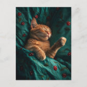 Carte Postale Chaton Gingembre Endormi Sous les Couvertures (Devant)