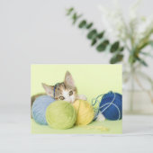 Carte Postale Chaton Jouant avec du Fil (Debout devant)