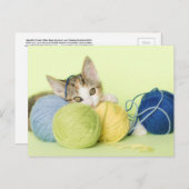 Carte Postale Chaton Jouant avec du Fil (Devant / Derrière)