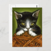 Carte Postale Chaton joueur (Devant / Derrière)