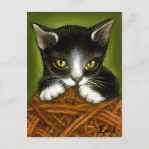 Carte Postale Chaton joueur