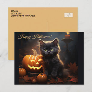 Carte Postale Chaton Kitty noir Halloween, citrouilles de Jack o