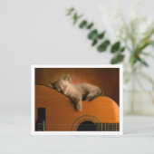 Carte Postale chaton mignon (Debout devant)