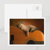 Carte Postale chaton mignon (Devant / Derrière)