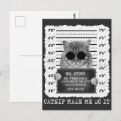 Carte Postale Chaton mignon à l'herbe à chat m'a fait faire ça M (Devant / Derrière)