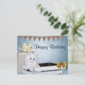 Carte Postale chaton persan blanc Anniversaire (Debout devant)