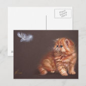 Carte Postale Chaton persan et plumes (Devant / Derrière)
