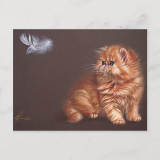 Carte Postale Chaton persan et plumes