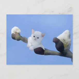 Carte Postale chaton printemps