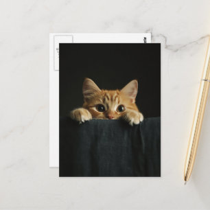 Carte Postale Chaton roux adorable qui regarde