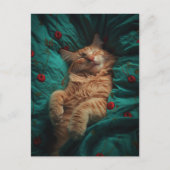 Carte Postale Chaton roux endormi (Devant)