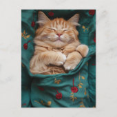 Carte Postale Chaton roux endormi (Devant)