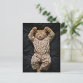 Carte Postale Chaton roux endormi en pyjama (Debout devant)