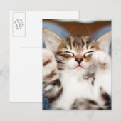 Carte Postale Chaton sur mon recouvrement (Devant / Derrière)