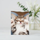 Carte Postale Chaton sur mon recouvrement (Debout devant)