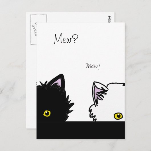 Carte Postale Chatons (Devant / Derrière)