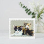 Carte Postale Chatons à visage amusant (Debout devant)