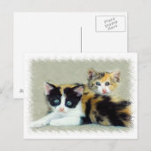 Carte Postale Chatons à visage amusant (Devant / Derrière)
