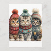 Carte Postale Chatons adorables dans des vêtements d'hiver Art A (Devant)