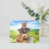 Carte Postale Chatons amusants dans le champ vert. (Debout devant)