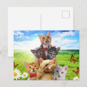 Carte Postale Chatons amusants dans le champ vert. (Devant / Derrière)