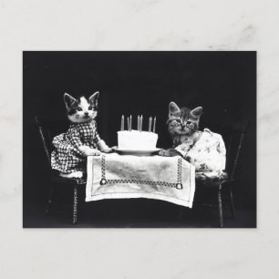 Carte Postale Chatons d'anniversaire