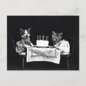 Carte Postale Chatons d'anniversaire (Devant)