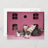 Carte Postale Chatons dans la maison de poupée (Devant / Derrière)