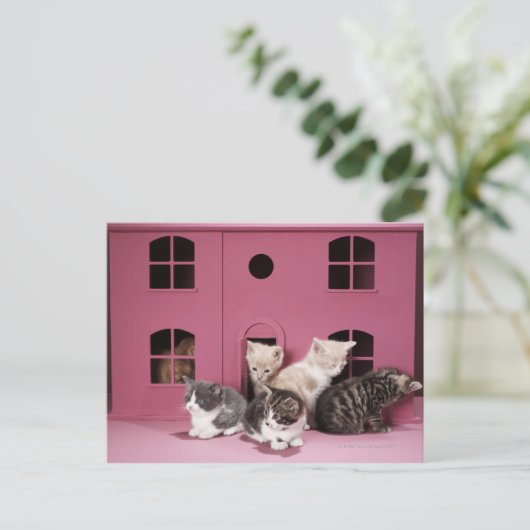 Carte Postale Chatons dans la maison de poupée (Debout devant)