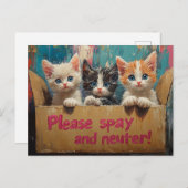 Carte Postale Chatons dans une boîte S'il vous plaît Spay et Neu (Devant / Derrière)
