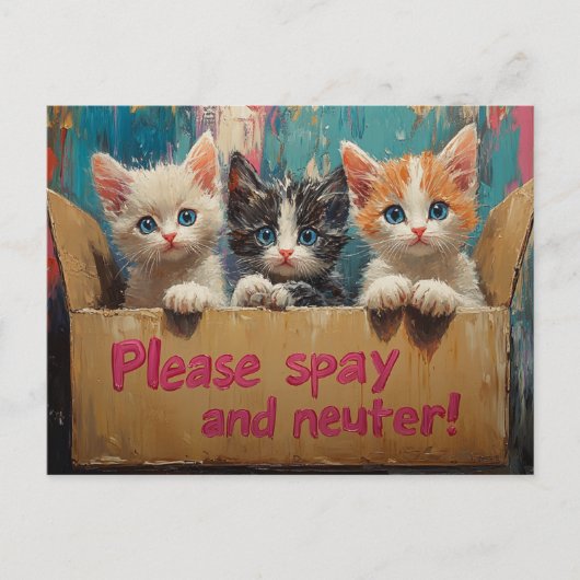 Carte Postale Chatons dans une boîte S'il vous plaît Spay et Neu (Devant)
