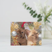 Carte Postale Chatons de Noël Chats de vacances (Debout devant)