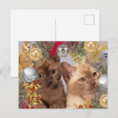 Carte Postale Chatons de Noël Chats de vacances (Devant / Derrière)