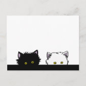 Carte Postale Chatons de piaulement (Devant)