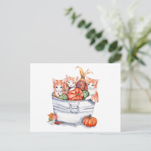 Carte Postale Chatons de récolte (Debout devant)