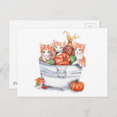 Carte Postale Chatons de récolte (Devant / Derrière)