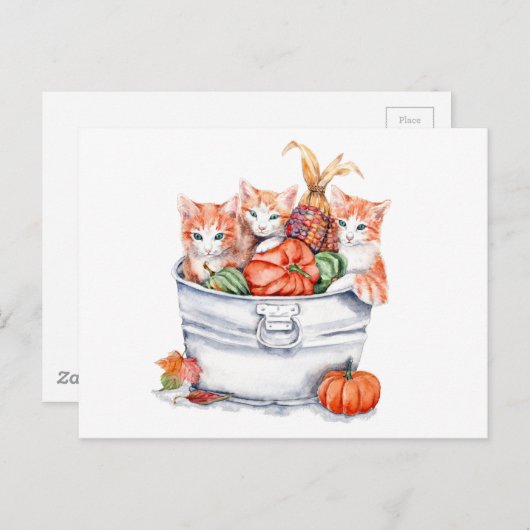 Carte Postale Chatons de récolte (Devant / Derrière)